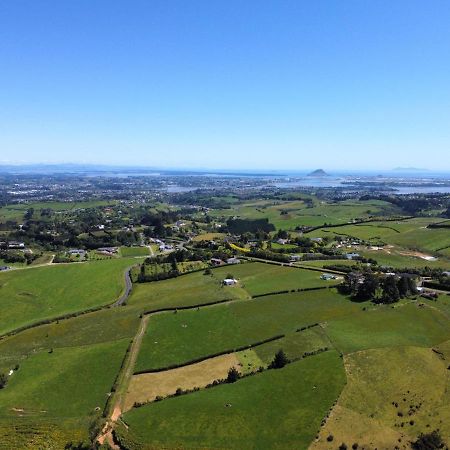 Homewell Tauranga Esterno foto